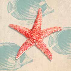 1BR3901- TED BROOME - Ocean Gift I