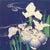 1JP5691 - Tsukioka Kôgyo - Irises on the Water