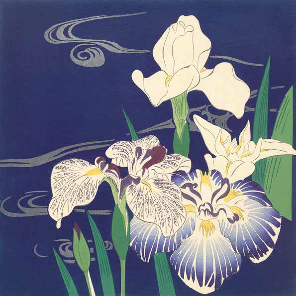 スプリングセール希少♠Jarosław Wojtkowiak 油彩「台所」 Selected Artworks - Japan - Group 1 - PictureFramingStudio