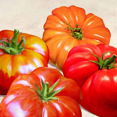 1RM2641 - REMO BARBIERI - Tomatoes