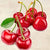 1RM2656 - REMO BARBIERI - Cherries