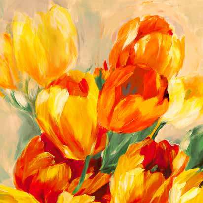 1SN6227 - Jim Stone - Tulips in the Sun I