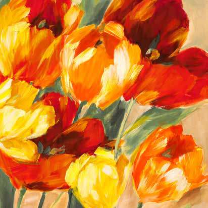 1SN6228 - Jim Stone - Tulips in the Sun II