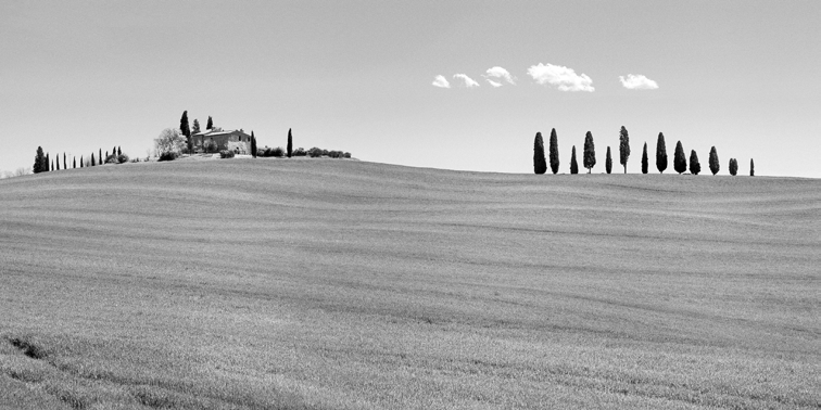 2AP6165 - Pangea Images - Strada del Brunello, Tuscany (BW)