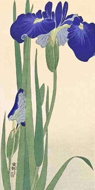 2JP5032 - Ohara Koson - Irises