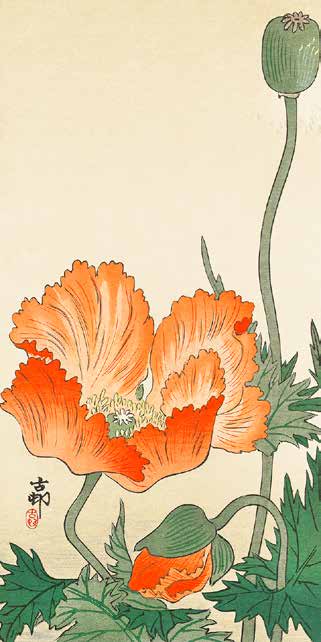 2JP5034 - Ohara Koson - Poppies