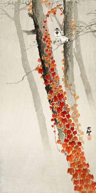 2JP6338 - Ohara Koson - Red Ivy