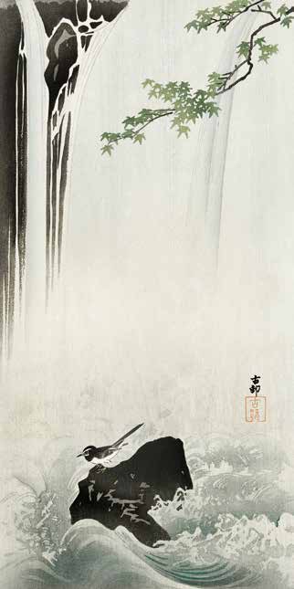 2JP6339 - Ohara Koson - Japanese Wagtail at Waterfall