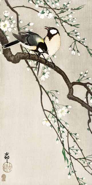 2JP6340 - Ohara Koson - Tits on Cherry Branch