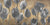 2LC5521 - Luca Villa - Grey Tulips