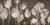 2LC5522 - Luca Villa - Washed Tulips