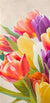 2LC5825 - Luca Villa - Spring Tulips I