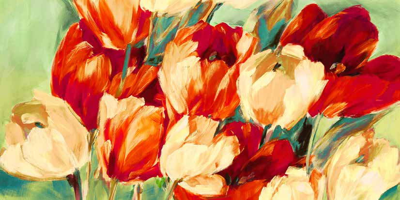 2SN6225 - Jim Stone - Red &amp; White Tulips