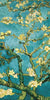 2VG1549 - Vincent van Gogh - Mandorlo in fiore II