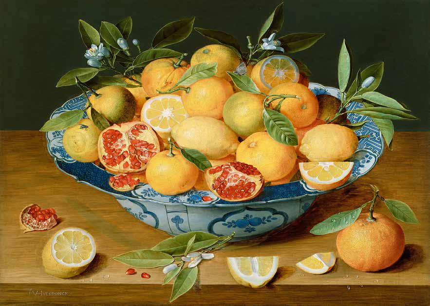 3AA2723 - Jacob van Hulsdonck - Still Life with Lemons, Oranges and a Pomegranate