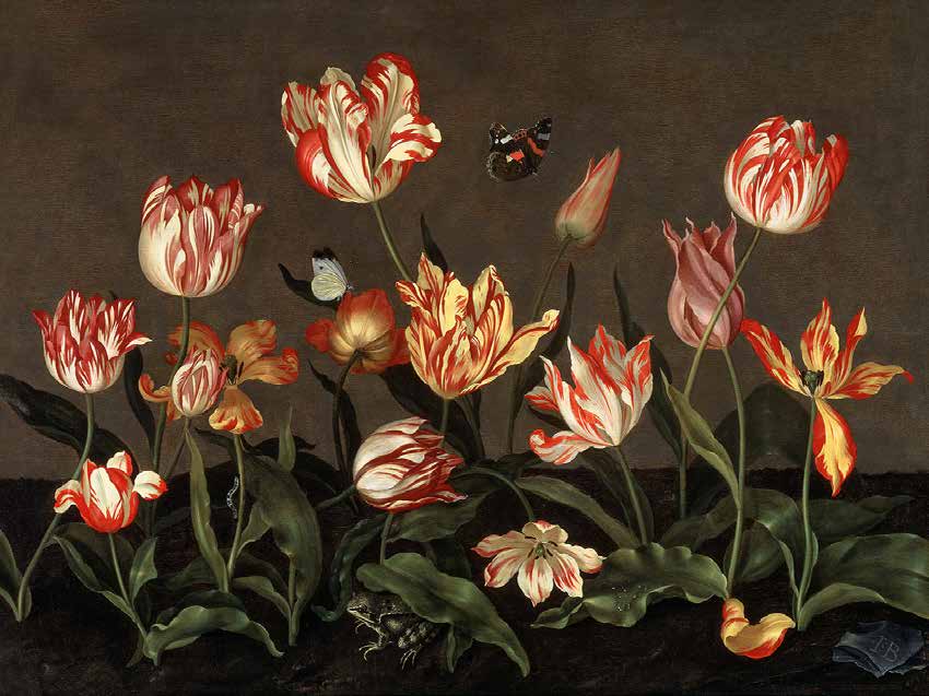 3AA5040 - Johannes Bosschaert - Still Life with Tulips