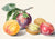 3AA5667 - Michiel van Huysum - Fruits I