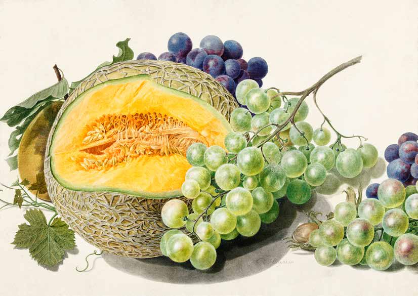 3AA5668 - Michiel van Huysum - Fruits II