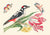 3AA5695 - Anonymous - A Bird on Tulip stem with Daffodils