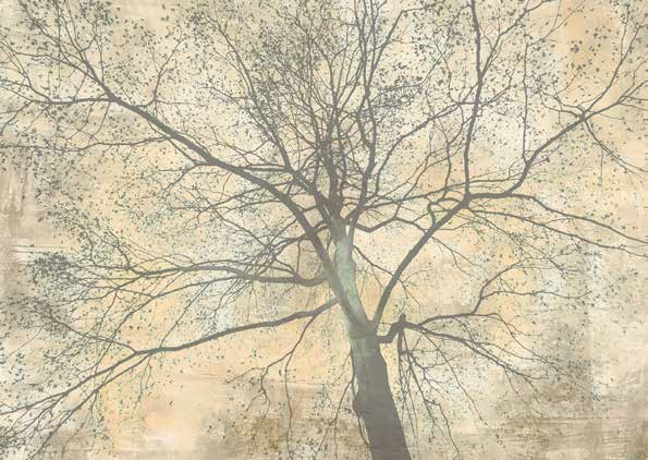 3AI6377 - Alessio Aprile - Below My Tree II