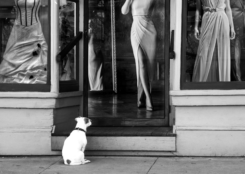 3AP5597 - Julian Lauren - Waiting for Her