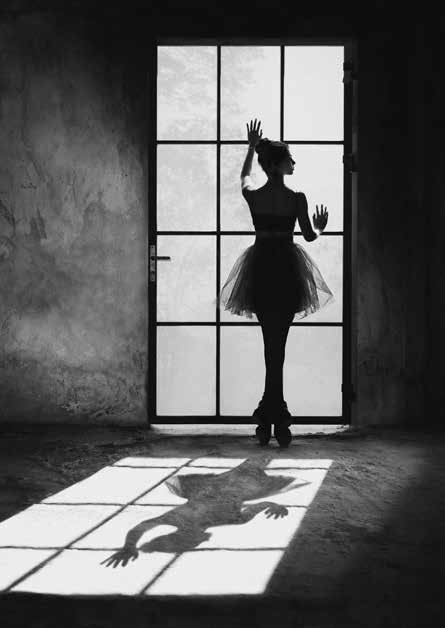 3AP5599 - Julian Lauren - Twilight Dancer