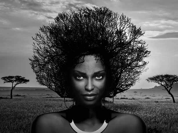 3AP5601 - Julian Lauren - Serengeti Queen