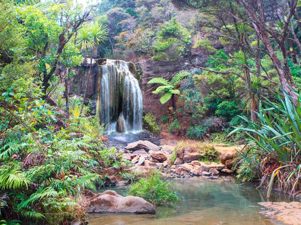 3AP5604 - Pangea Images - Rainforest waterfall (detail)