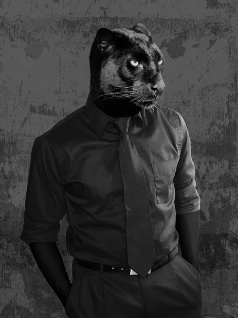 3AP5614 - VizLab - Dark Knight