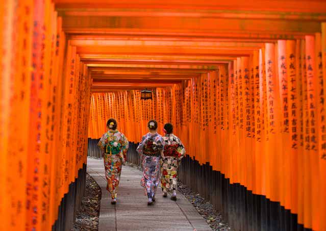 3AP6282 - Pangea Images - Fushimi Inari Shrine, Kyoto