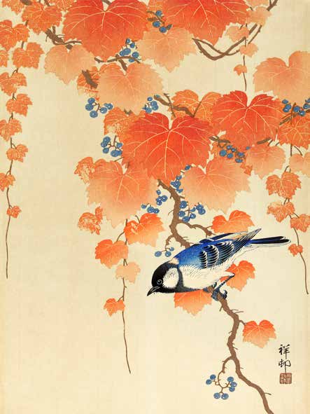 3JP5682 - Ohara Koson - Great tit on paulownia branch