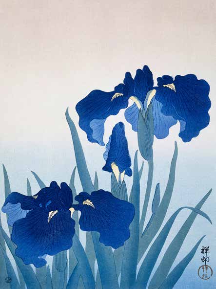3JP5683 - Ohara Koson - Iris flowers
