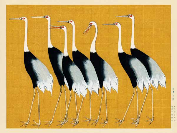 3JP5697 - Ogata Korin - Flock of Japanese red crown cranes