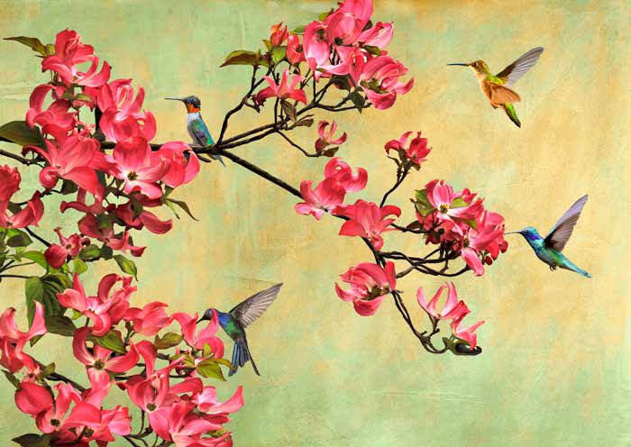 3KP5786 - Kelly Parr - Flower Branch