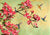 3KP5786 - Kelly Parr - Flower Branch