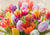 3LC5824 - Luca Villa - Spring Tulips