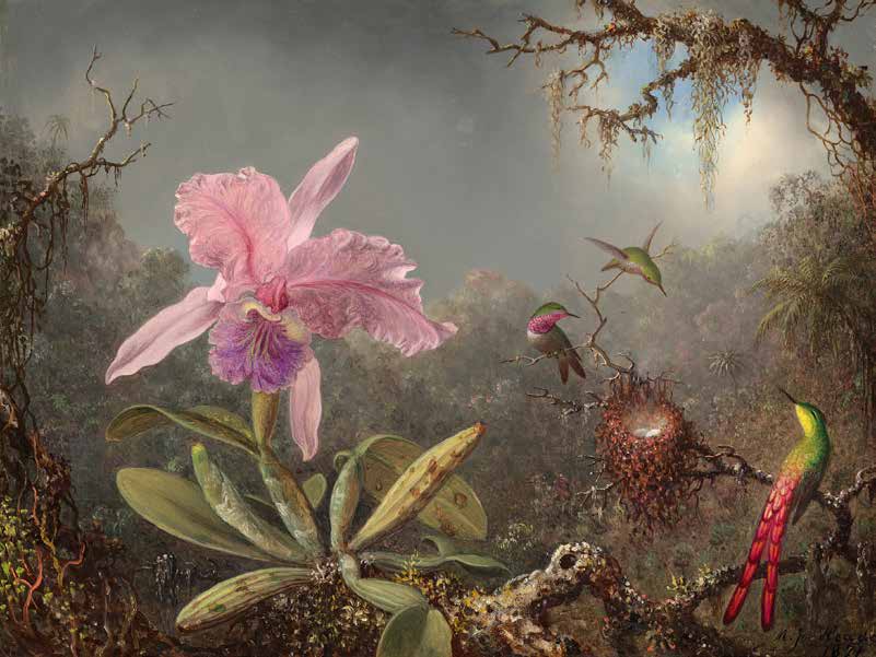 3MH5879 - Martin Johnson Heade - Cattleya orchid and three hummingbirds