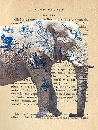 3SH5062 - STEVEN HILL - Tattooed Savannah I