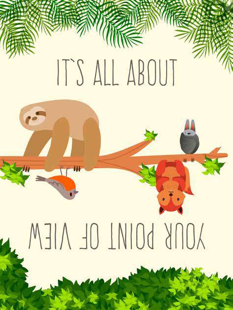 3SH6217 - Steven Hill - It’s All about your Point of View