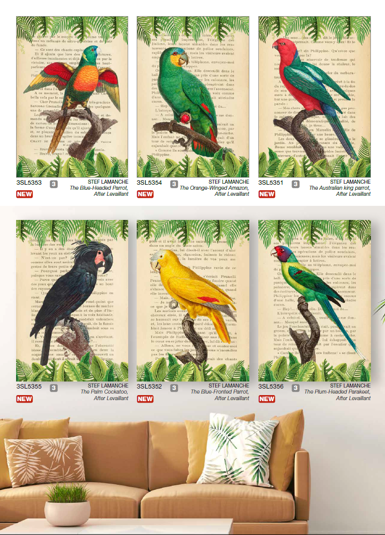 3SL5356 - STEF LAMANCHE - The Plum-Headed Parakeet, After Levaillant