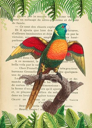 3SL5353 - STEF LAMANCHE - The Blue-Headed Parrot, After Levaillant