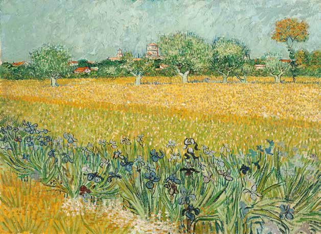3VG114 - VINCENT VAN GOGH - Field with Irises near Arles