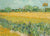 3VG114 - VINCENT VAN GOGH - Field with Irises near Arles