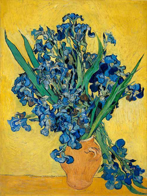 3VG1434 - VINCENT VAN GOGH - Irises