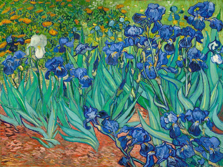 3VG1436 - Vincent van Gogh - Irises