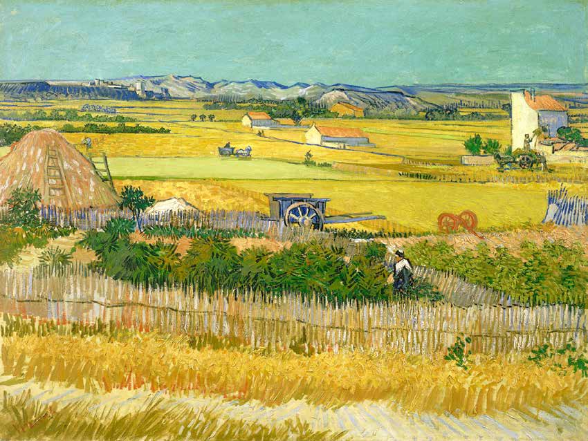 3VG2181 - VINCENT VAN GOGH - De oogst