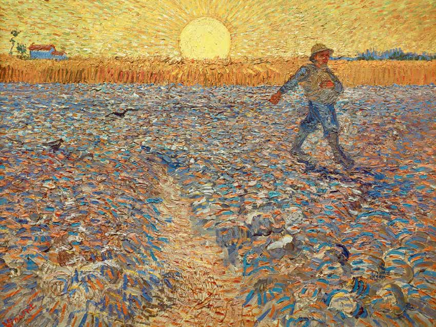 3VG3023 - VINCENT VAN GOGH - The Sower