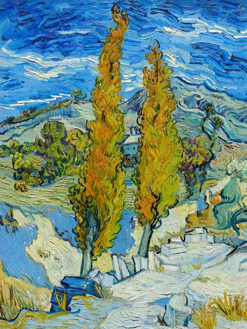 3VG5027 - Vincent van Gogh - The Poplars at Saint-Rémy
