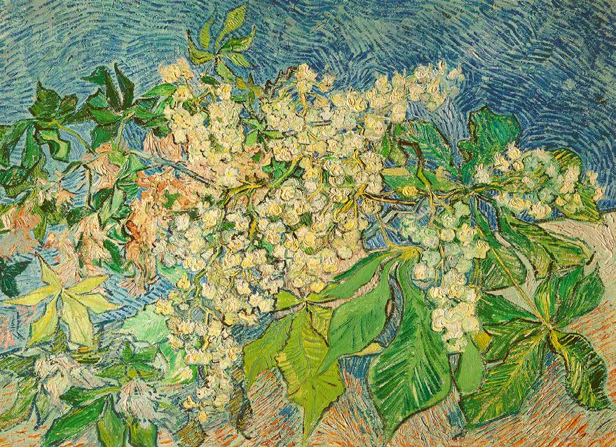 3VG5109 - Vincent van Gogh - Blossoming Chestnut Branch