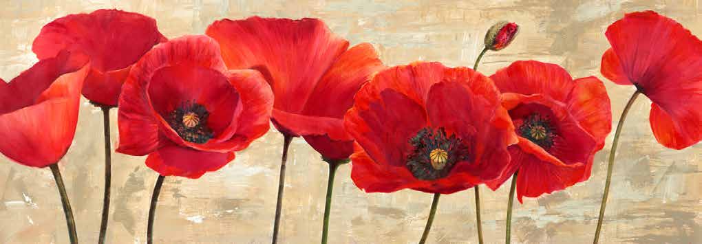 4AN1218 - CYNTHIA ANN - Red Poppies